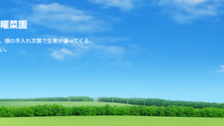 私の日曜菜園（ブログ）